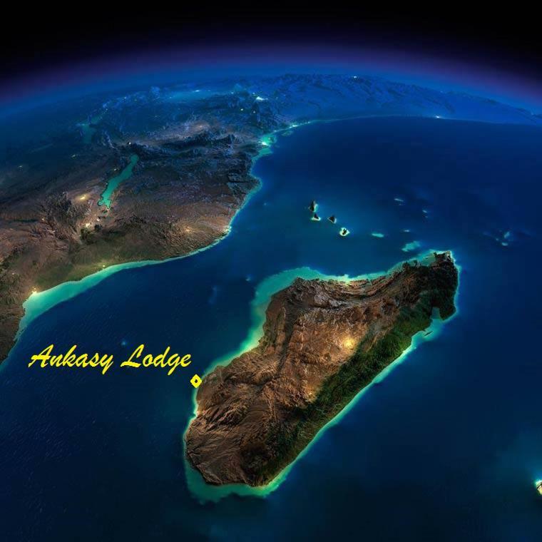 Ankasy Lodge Tsifota Luaran gambar